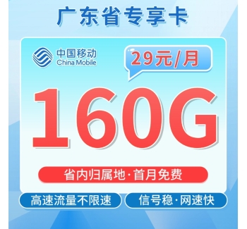 移动广东卡29元160G