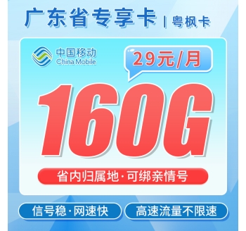 移动粤枫卡29元160G