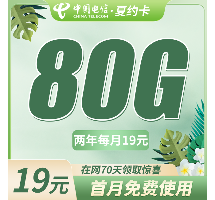 电信夏约卡19元80G+首月免费！